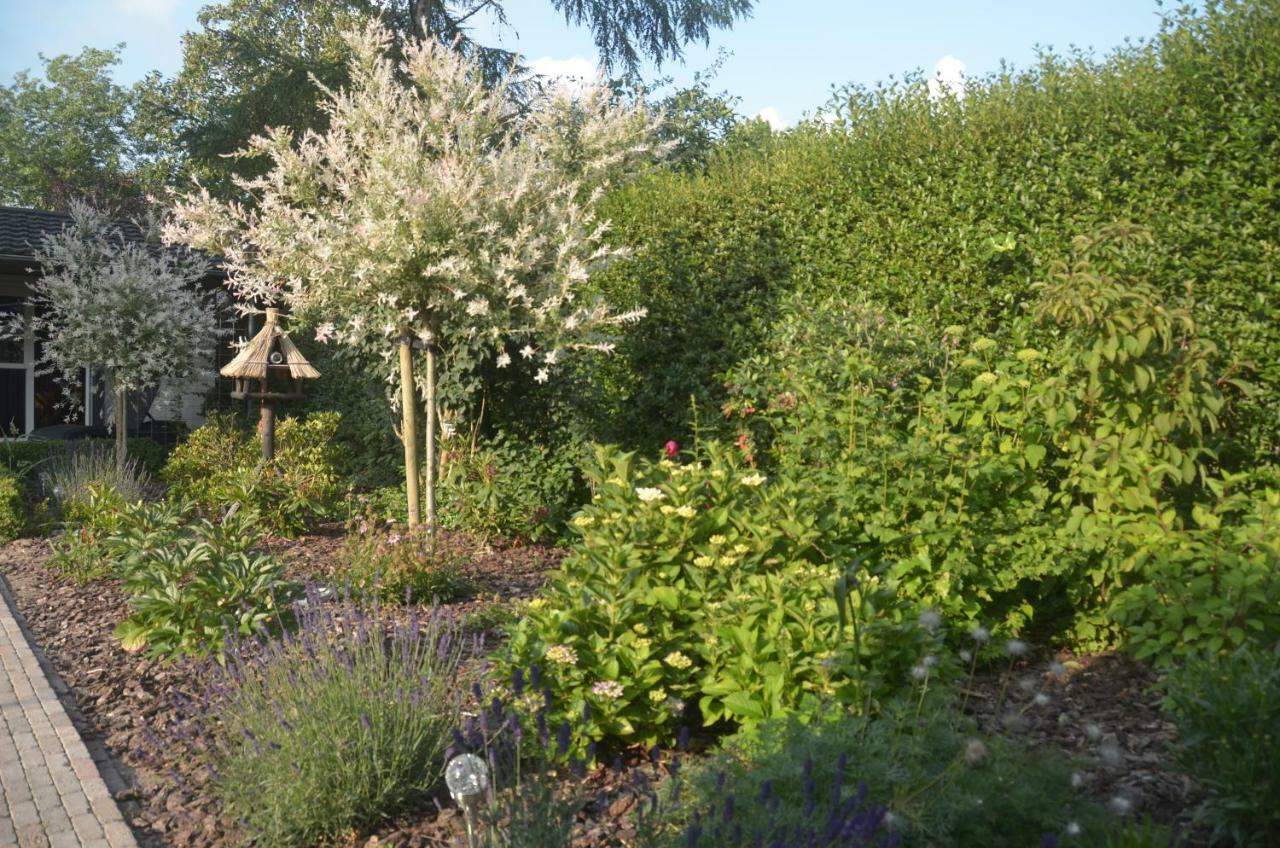 Bed And Breakfast Hattem Luaran gambar